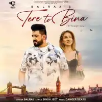 Tere To Bina - Balraj 2024 cover image