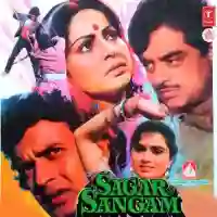 Sagar Sangam 1988 cover image