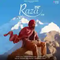 Raza - Tarsem Jassar 2022 cover image