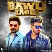 Bawli Tared - Sumit Goswami - Sumit Goswami cover image