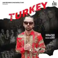 Turkey - Manna Boy 2021 cover image