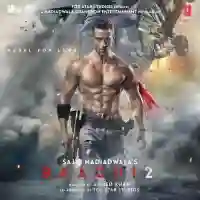 Baaghi 2 2018 cover image