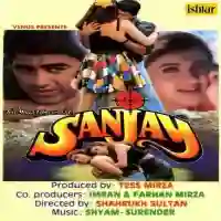 Sanjay 1995 cover image