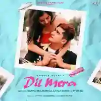 Dil Mera - Yasser Desai 2021 cover image