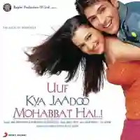 Uuf Kya Jaadoo Mohabbat Hai...! 2004 cover image