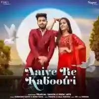 Aaiye Re Kabootri - Surender Romio 2022 cover image