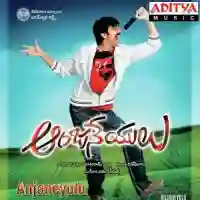 Anjaneyulu 2009 cover image