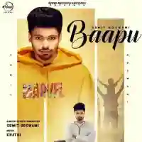 Baapu - Sumit Goswami - Sumit Goswami cover image