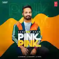 Pink Pink - Sandeep Brar 2021 cover image