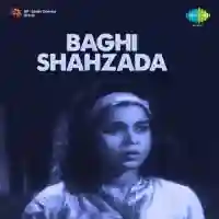 Baghi Shahzada 1964 cover image