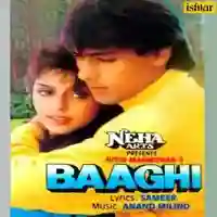 Baaghi - A Rebel For Love 1990 cover image