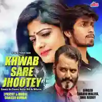 Khwab Sare Jhootey 2020 cover image