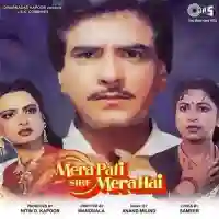 Mera Pati Sirf Mera Hai 1990 cover image