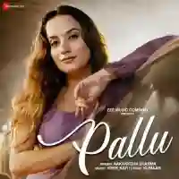 Pallu - Kumaar 2024 cover image