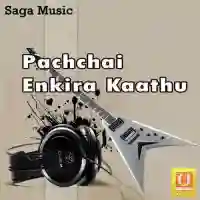 Pachchai Enkira Kaathu 2012 cover image