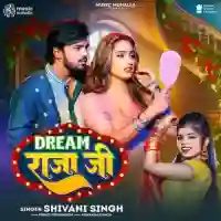 Dream Raja Ji - Shivani Singh 2024 cover image