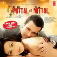 Mittal Vs Mittal 2010 cover image