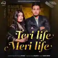 Teri Life Meri Life - R Nait 2021 cover image