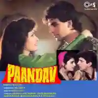 Paandav 1995 cover image