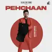 Pehchaan - Sultan Singh 2021 cover image