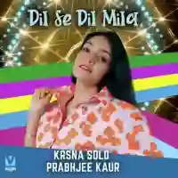 Dil Se Dil Mila - Krsna Solo 2021 cover image