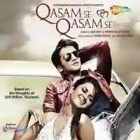 Qasam Se Qasam Se 2012 cover image