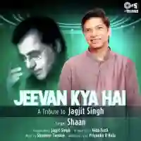 Jeevan Kya Hai - Shaan 2021 cover image