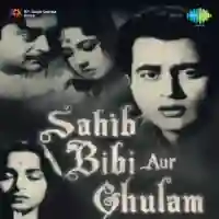 Sahib Bibi Aur Ghulam 1962 cover image