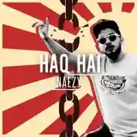 Haq Hai - Naezy 2016 cover image