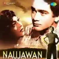 Naujawan 1951 cover image