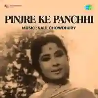 Pinjre Ke Panchhi 1966 cover image