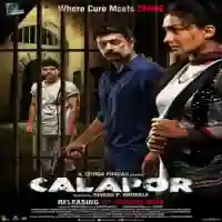 Calapor 2013 cover image