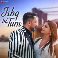 Ishq Ho Tum - Anurag Maurya 2024 cover image