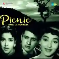 Picnic 1964 cover image