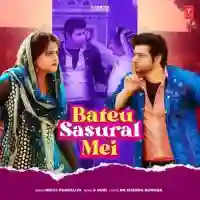 Bateu Sasural Mei - Rohit Pharaliya 2022 cover image