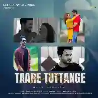 Taare Tuttange (Male Version) - Manjit Sahota 2022 cover image