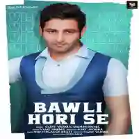 Bawli Hori Se - Vijay Varma 2022 cover image