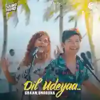 Dil Udeyaa - Shaan 2022 cover image