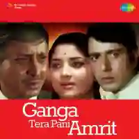 Ganga Tera Pani Amrit 1971 cover image