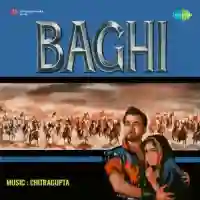 Baghi 1964 cover image