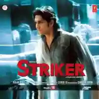 Striker 2010 cover image