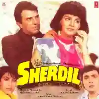 Sherdil 1990 cover image