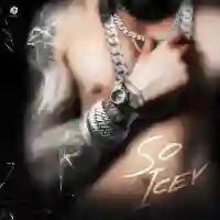 SO ICEY - Te-G Sandhu 2024 cover image