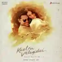 Kaatru Veliyidai 2017 cover image