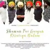 Shaman Pai Gaiyan Kesariya Balam - Band Turbanators 2021 cover image