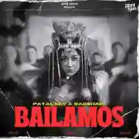 Bailamos - Badshah 2024 cover image