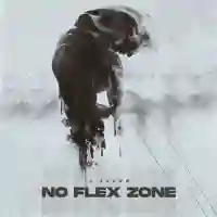 No Flex Zone - A.Shawn 2022 cover image