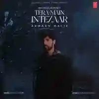 Tera Main Intezaar - Armaan Malik 2024 cover image