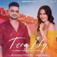 Tera Ishq - Gajendra Verma 2021 cover image