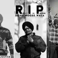 RIP Sidhu Moosewala - Thoda Bai PiPi 2022 cover image